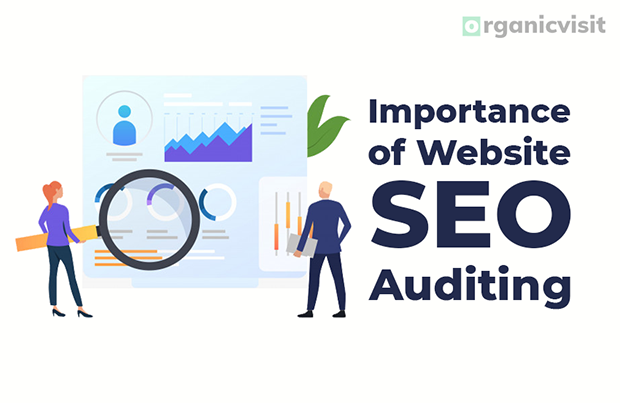 Importance of Website SEO Auditing